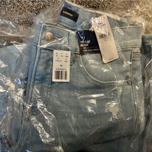 Express 70’s Flare Jeans 6/Long